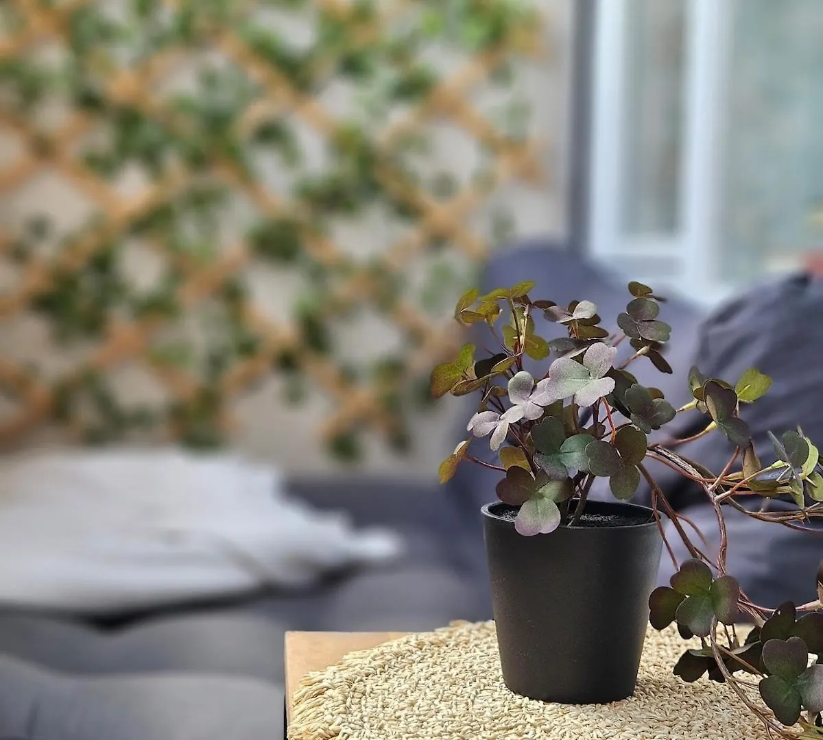 Large Cozy Studio With Balcony And Kitchen At Pasing Mnichov Německo