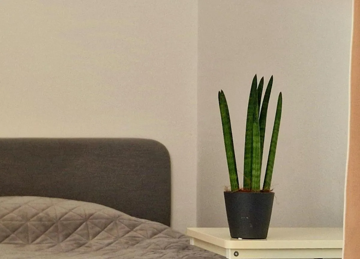 Large Cozy Studio With Balcony And Kitchen At Pasing Mnichov 0*,